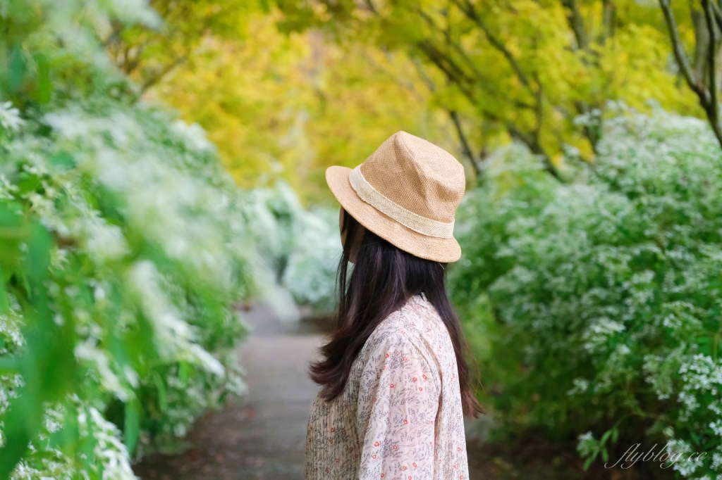 台中新社｜沐心泉白雪木季．台中也下雪囉！體驗仿佛置身浪漫異國雪地 @飛天璇的口袋