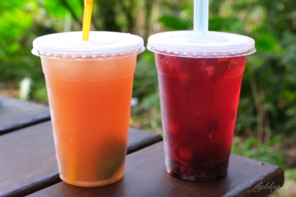 台中新社｜沐心泉白雪木季．台中也下雪囉！體驗仿佛置身浪漫異國雪地 @飛天璇的口袋