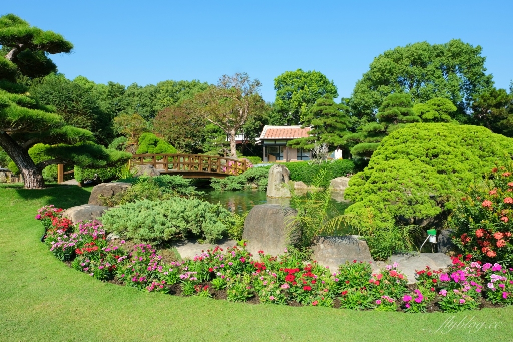 成美文化園｜占地3.5公頃成美文化園！台版兼六園、平地嘉明湖、落羽松大道 、百年三合院古厝 @飛天璇的口袋