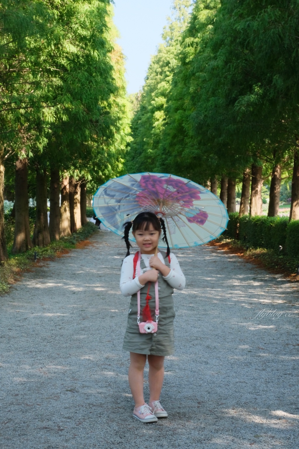 成美文化園｜占地3.5公頃成美文化園！台版兼六園、平地嘉明湖、落羽松大道 、百年三合院古厝 @飛天璇的口袋