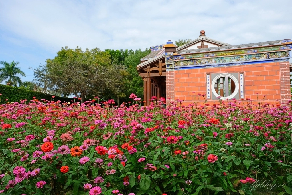 成美文化園｜占地3.5公頃成美文化園！台版兼六園、平地嘉明湖、落羽松大道 、百年三合院古厝 @飛天璇的口袋