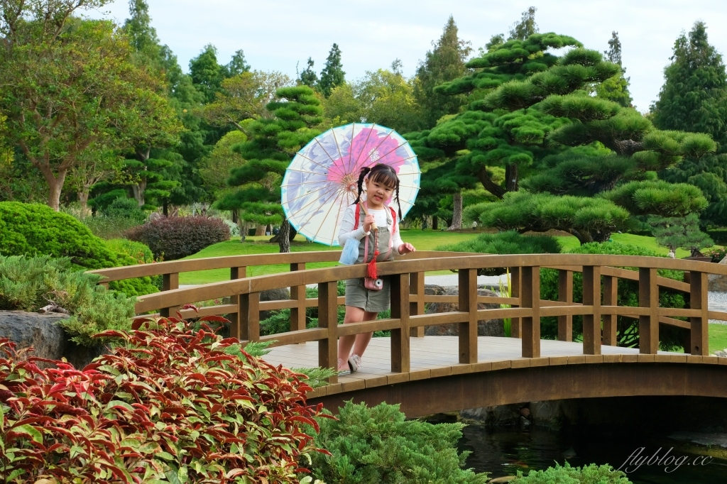 成美文化園｜占地3.5公頃成美文化園！台版兼六園、平地嘉明湖、落羽松大道 、百年三合院古厝 @飛天璇的口袋