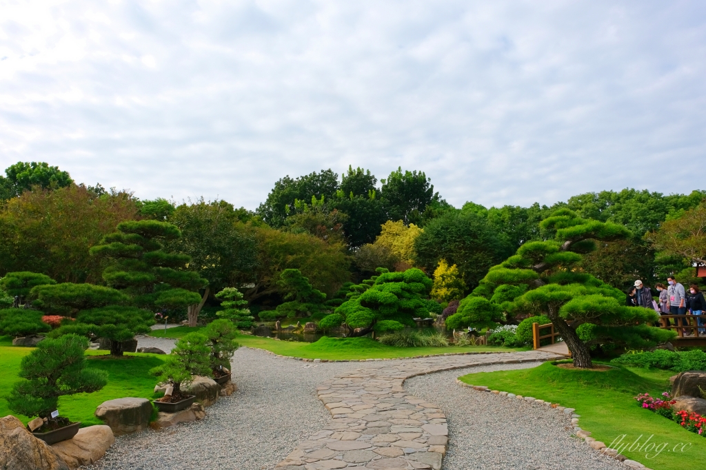 成美文化園｜占地3.5公頃成美文化園！台版兼六園、平地嘉明湖、落羽松大道 、百年三合院古厝 @飛天璇的口袋