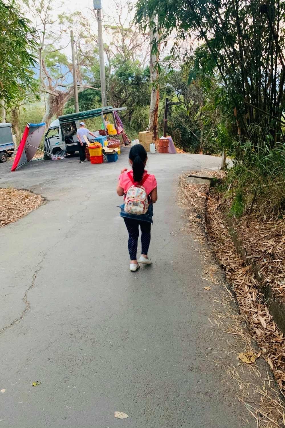 台中北屯｜大坑9號步道．觀音亭休憩平台開放了，遠眺山林綠意和台中市景 @飛天璇的口袋