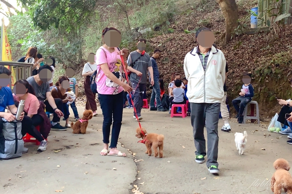 台中北屯｜大坑9號步道．觀音亭休憩平台開放了，遠眺山林綠意和台中市景 @飛天璇的口袋