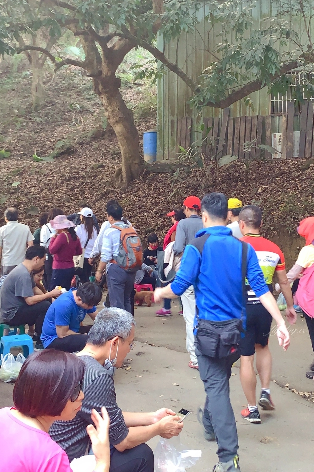 台中北屯｜大坑9號步道．觀音亭休憩平台開放了，遠眺山林綠意和台中市景 @飛天璇的口袋