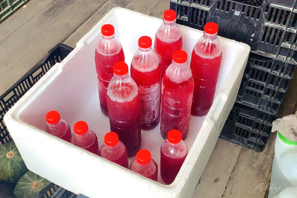 台中北屯｜大坑9號步道．觀音亭休憩平台開放了，遠眺山林綠意和台中市景 @飛天璇的口袋