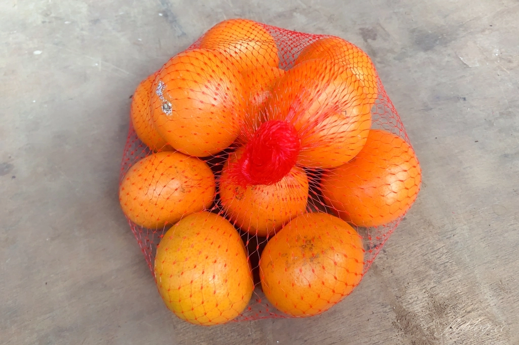 台中北屯｜大坑9號步道．觀音亭休憩平台開放了，遠眺山林綠意和台中市景 @飛天璇的口袋