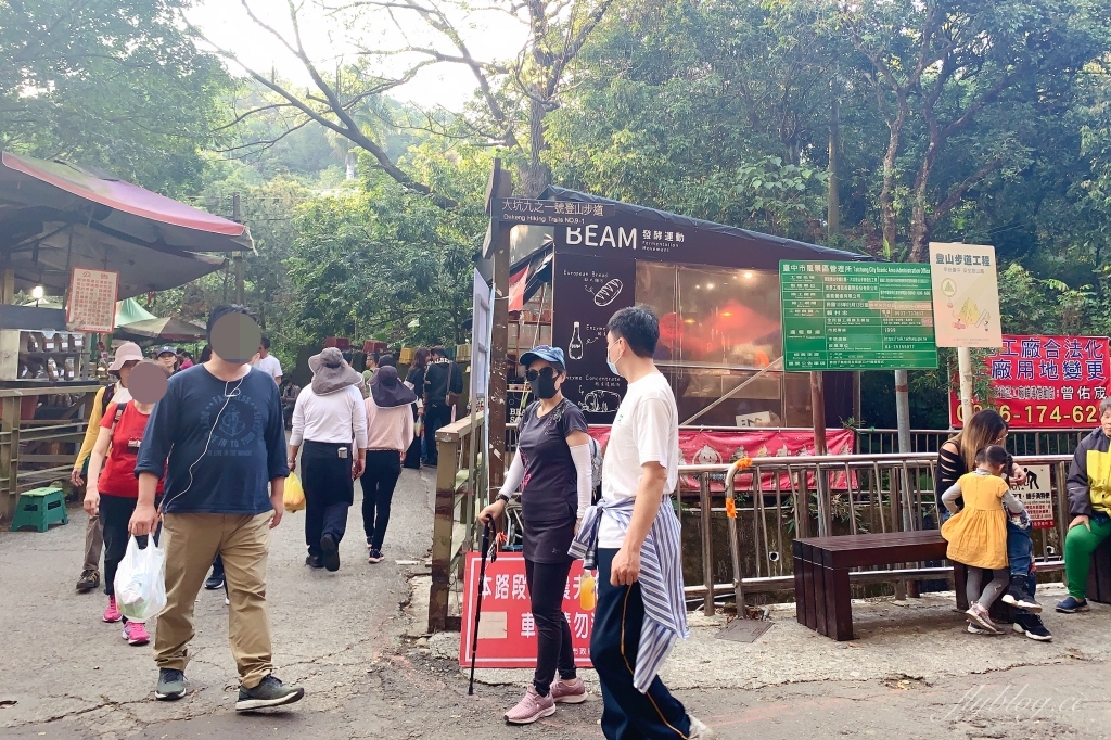 台中北屯｜大坑10號步道．充滿綠意的自然景觀，階梯涼亭眺望市景 @飛天璇的口袋