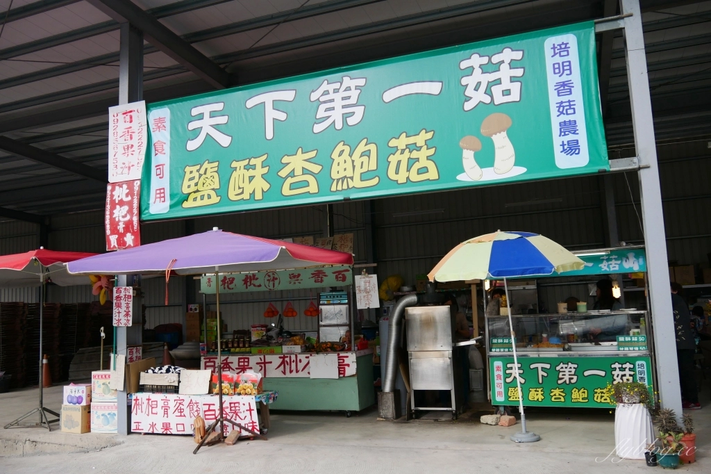 台中新社｜新社美食景點一日遊．30+新社景觀餐廳、旅遊景點、小吃美食、民宿推薦 @飛天璇的口袋