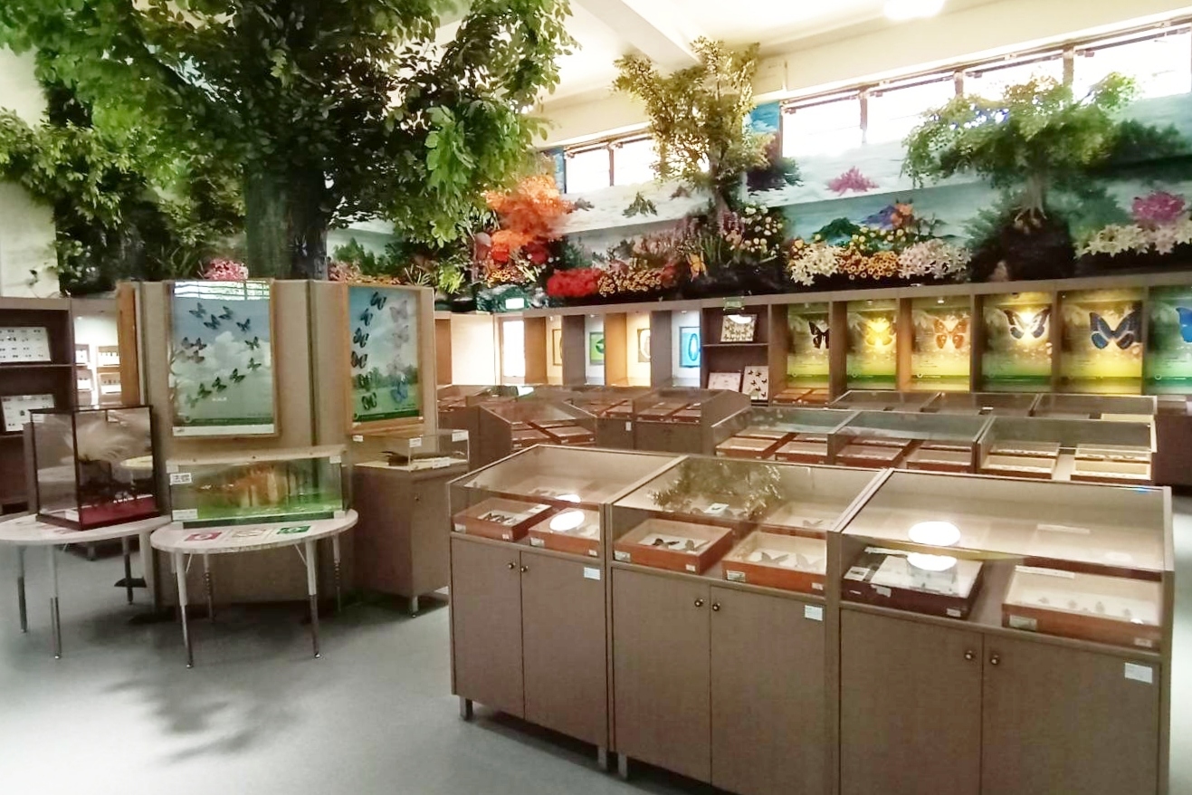 彰化社頭｜社頭一日遊．芭樂的故鄉，漫遊南彰化小鎮，社頭美食景點推薦 @飛天璇的口袋