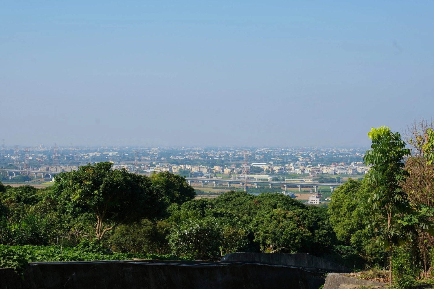 彰化社頭｜社頭一日遊．芭樂的故鄉，漫遊南彰化小鎮，社頭美食景點推薦 @飛天璇的口袋