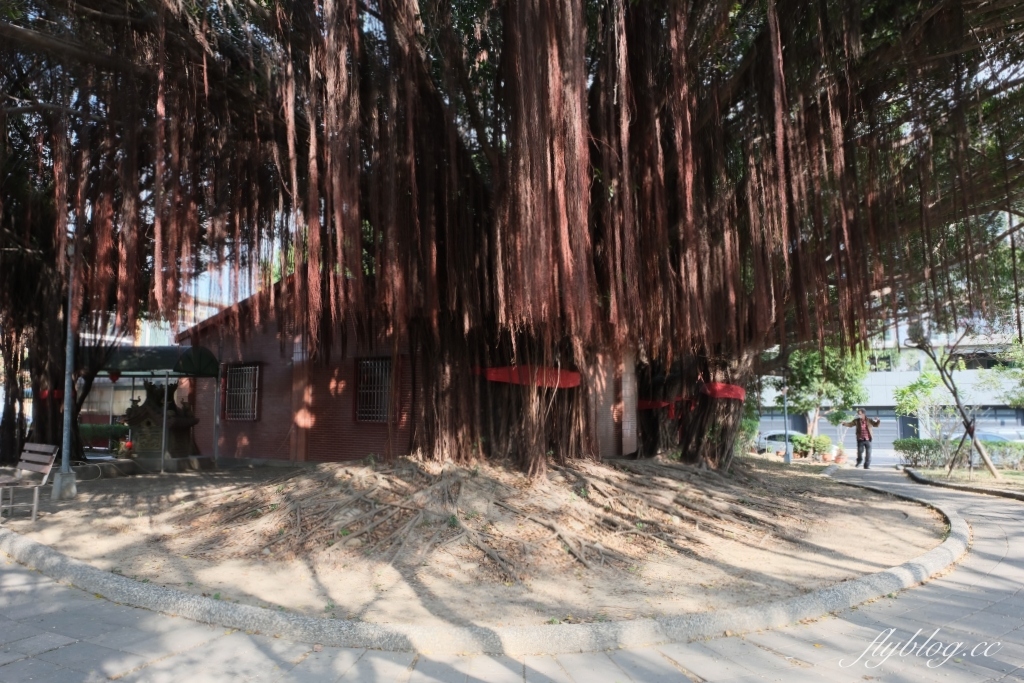 【台中北屯】三甲公園，紅花風鈴木浪漫盛開中，台中IG網美打卡爆紅景點，2021年最新花況 @飛天璇的口袋