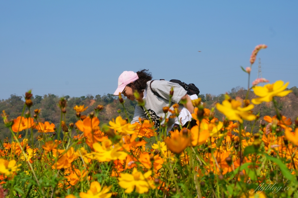 【台中外埔】 忘憂谷:外埔油菜花海現在正美,彎延田間小路成IG打卡熱門景點 @飛天璇的口袋 【台中外埔】 忘憂谷:外埔油菜花海現在正美,彎延田間小路成IG打卡熱門景點 @飛天璇的口袋