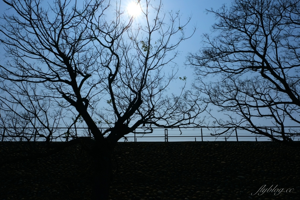 【台中外埔】 忘憂谷:外埔油菜花海現在正美,彎延田間小路成IG打卡熱門景點 @飛天璇的口袋 【台中外埔】 忘憂谷:外埔油菜花海現在正美,彎延田間小路成IG打卡熱門景點 @飛天璇的口袋