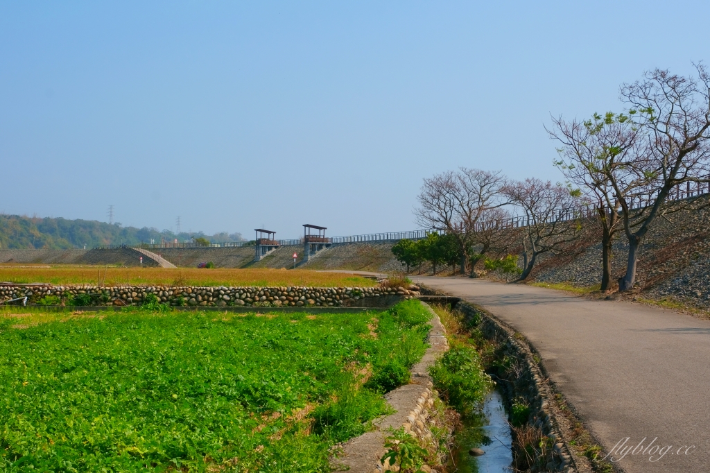 【台中外埔】 忘憂谷:外埔油菜花海現在正美,彎延田間小路成IG打卡熱門景點 @飛天璇的口袋 【台中外埔】 忘憂谷:外埔油菜花海現在正美,彎延田間小路成IG打卡熱門景點 @飛天璇的口袋