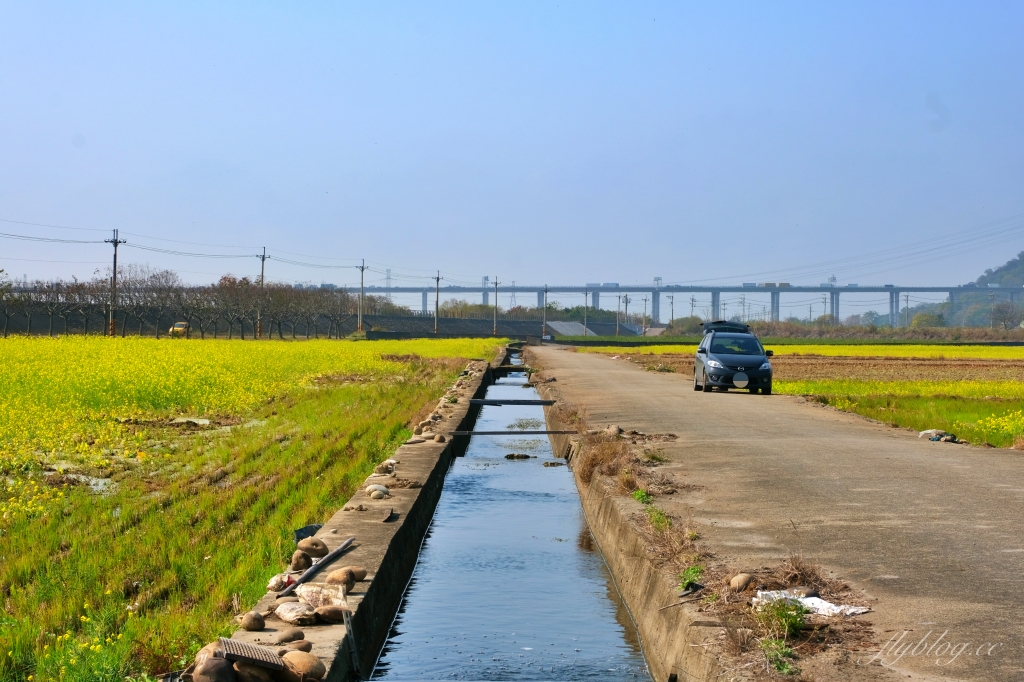 【台中外埔】 忘憂谷:外埔油菜花海現在正美,彎延田間小路成IG打卡熱門景點 @飛天璇的口袋 【台中外埔】 忘憂谷:外埔油菜花海現在正美,彎延田間小路成IG打卡熱門景點 @飛天璇的口袋