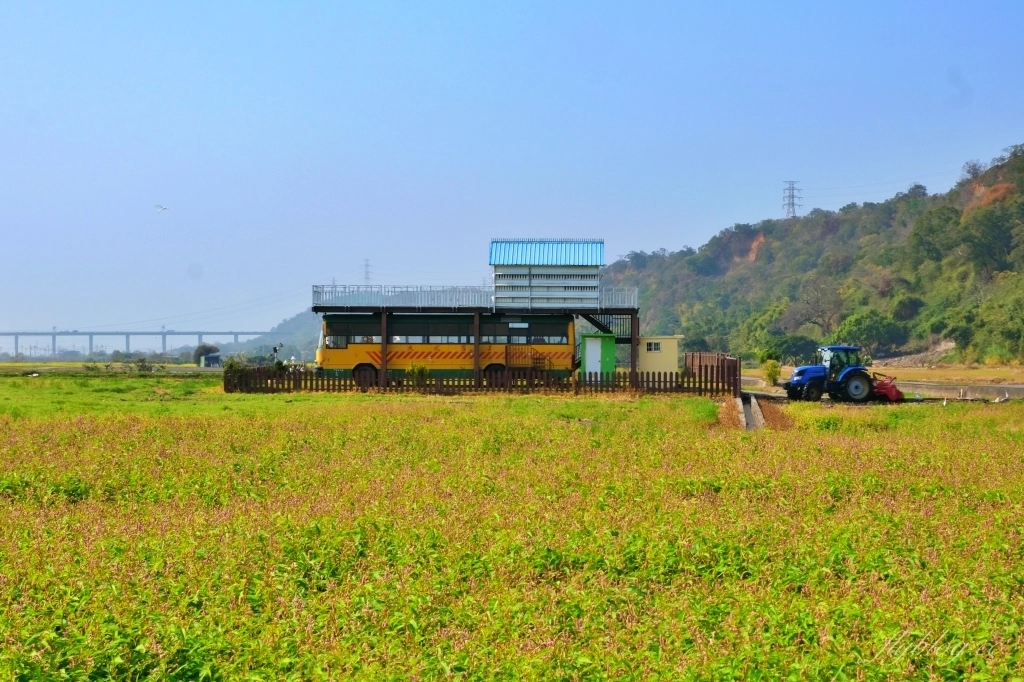 【台中外埔】 忘憂谷:外埔油菜花海現在正美,彎延田間小路成IG打卡熱門景點 @飛天璇的口袋 【台中外埔】 忘憂谷:外埔油菜花海現在正美,彎延田間小路成IG打卡熱門景點 @飛天璇的口袋