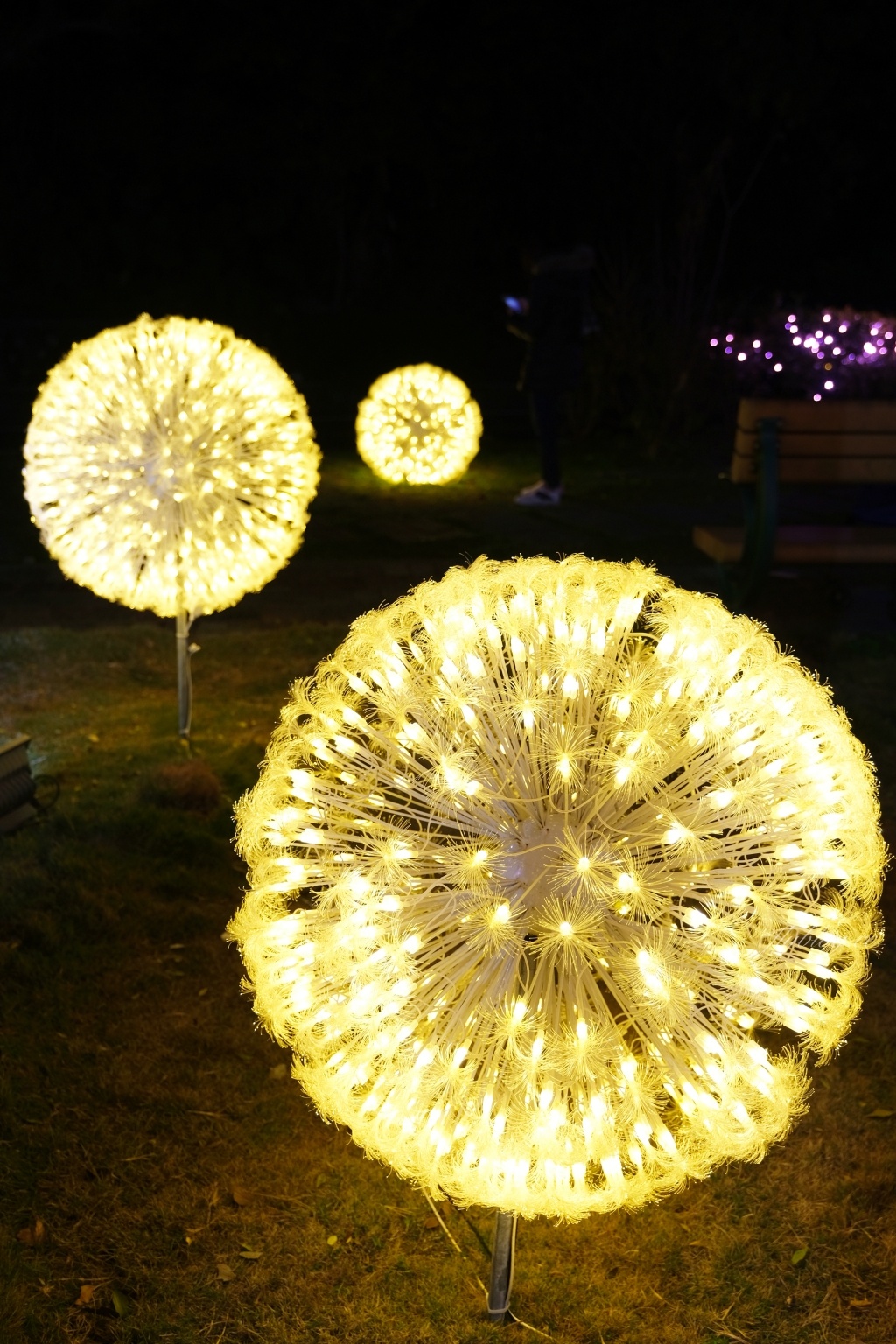 【台中石岡】2021石岡花漾藝術節：必拍7大主題燈展區，充滿愛心元素的石岡燈會 @飛天璇的口袋