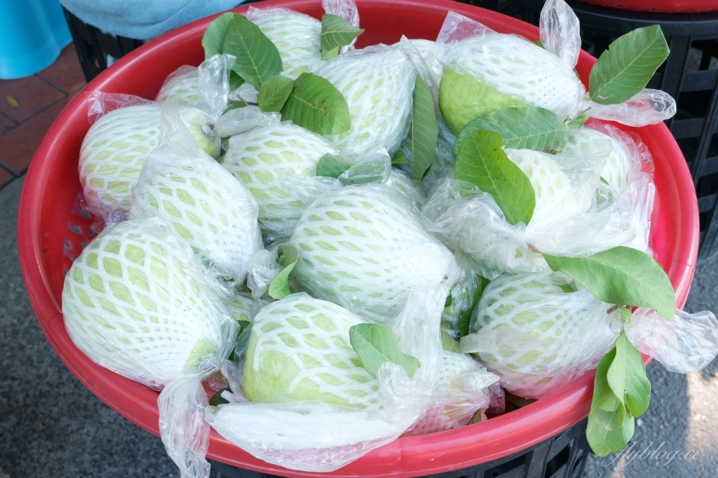 彰化社頭｜社頭一日遊．芭樂的故鄉，漫遊南彰化小鎮，社頭美食景點推薦 @飛天璇的口袋