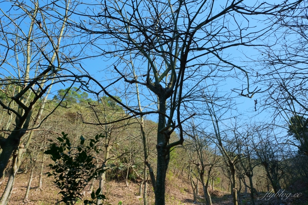 【彰化旅遊】彰化兩天一夜旅行｜社頭 x 田中｜漫遊南彰化小鎮~美食景點住宿推薦 @飛天璇的口袋