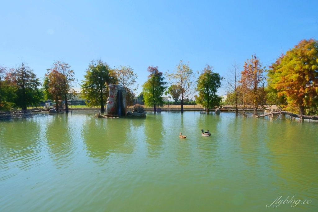 田中央豚將拉麵|位於彰化田中的鳥居拉麵,浪漫的落羽松水池造景 @飛天璇的口袋 田中央豚將拉麵|位於彰化田中的鳥居拉麵,浪漫的落羽松水池造景 @飛天璇的口袋