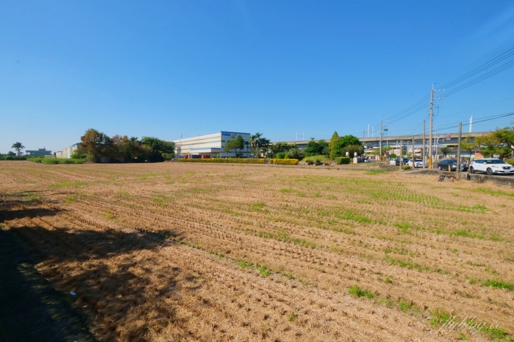 田中央豚將拉麵|位於彰化田中的鳥居拉麵,浪漫的落羽松水池造景 @飛天璇的口袋 田中央豚將拉麵|位於彰化田中的鳥居拉麵,浪漫的落羽松水池造景 @飛天璇的口袋