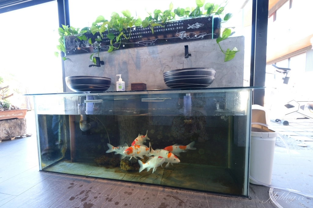 田中央豚將拉麵|位於彰化田中的鳥居拉麵,浪漫的落羽松水池造景 @飛天璇的口袋 田中央豚將拉麵|位於彰化田中的鳥居拉麵,浪漫的落羽松水池造景 @飛天璇的口袋