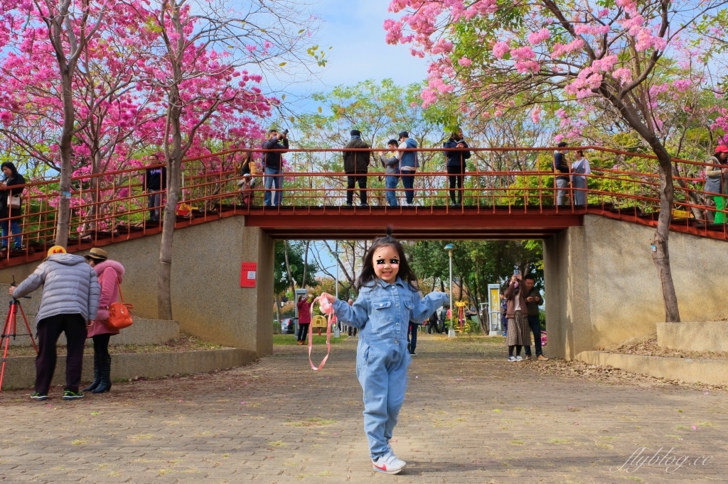 【台中北屯】三甲公園，紅花風鈴木浪漫盛開中，台中IG網美打卡爆紅景點，2021年最新花況 @飛天璇的口袋