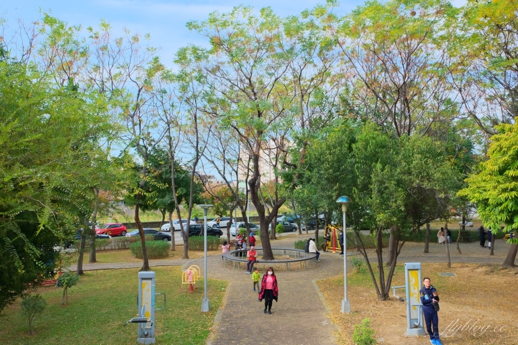 【台中北屯】三甲公園,紅花風鈴木浪漫盛開中,台中IG網美打卡爆紅景點,2021年最新花況 @飛天璇的口袋 【台中北屯】三甲公園,紅花風鈴木浪漫盛開中,台中IG網美打卡爆紅景點,2021年最新花況 @飛天璇的口袋