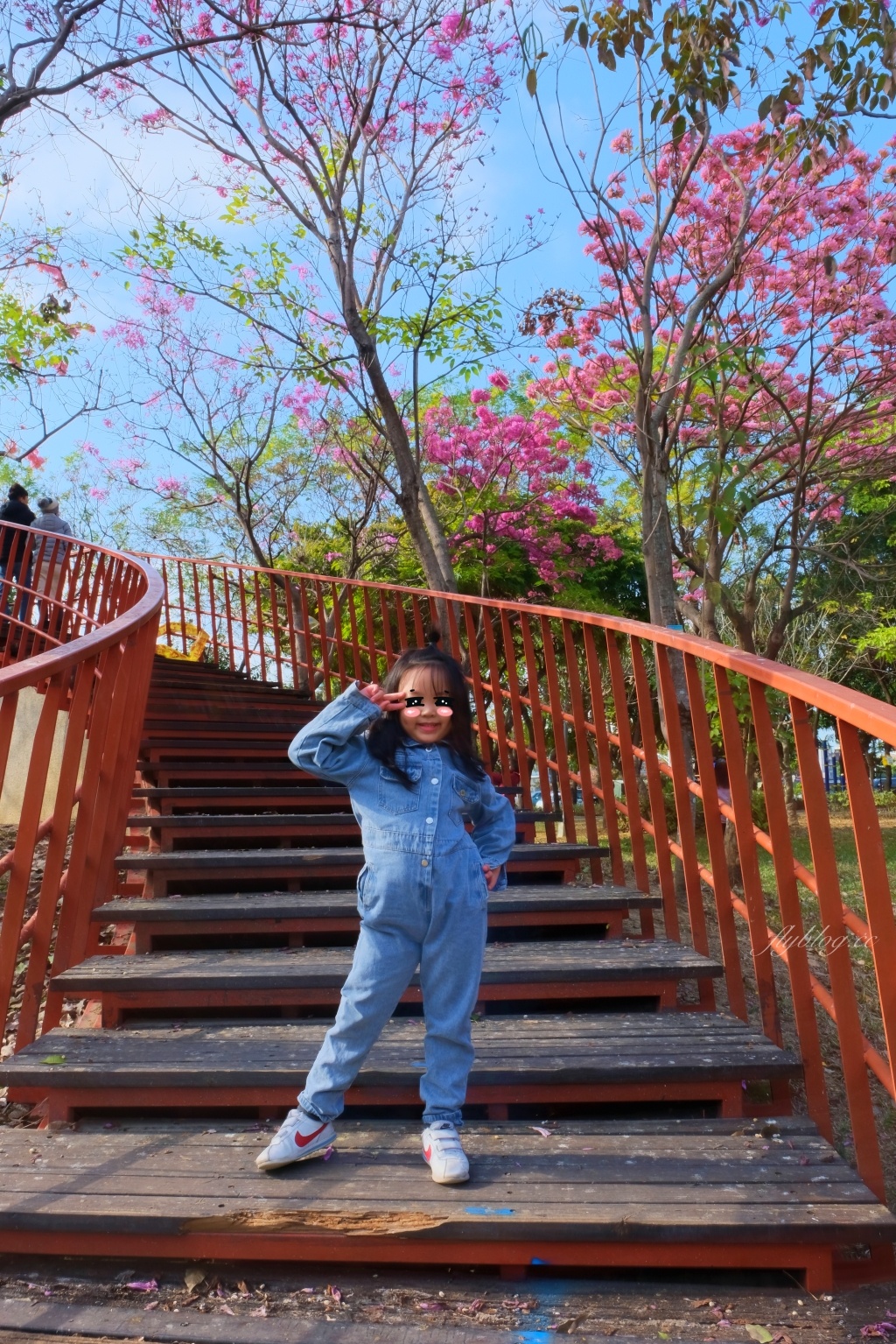 【台中北屯】三甲公園，紅花風鈴木浪漫盛開中，台中IG網美打卡爆紅景點，2021年最新花況 @飛天璇的口袋