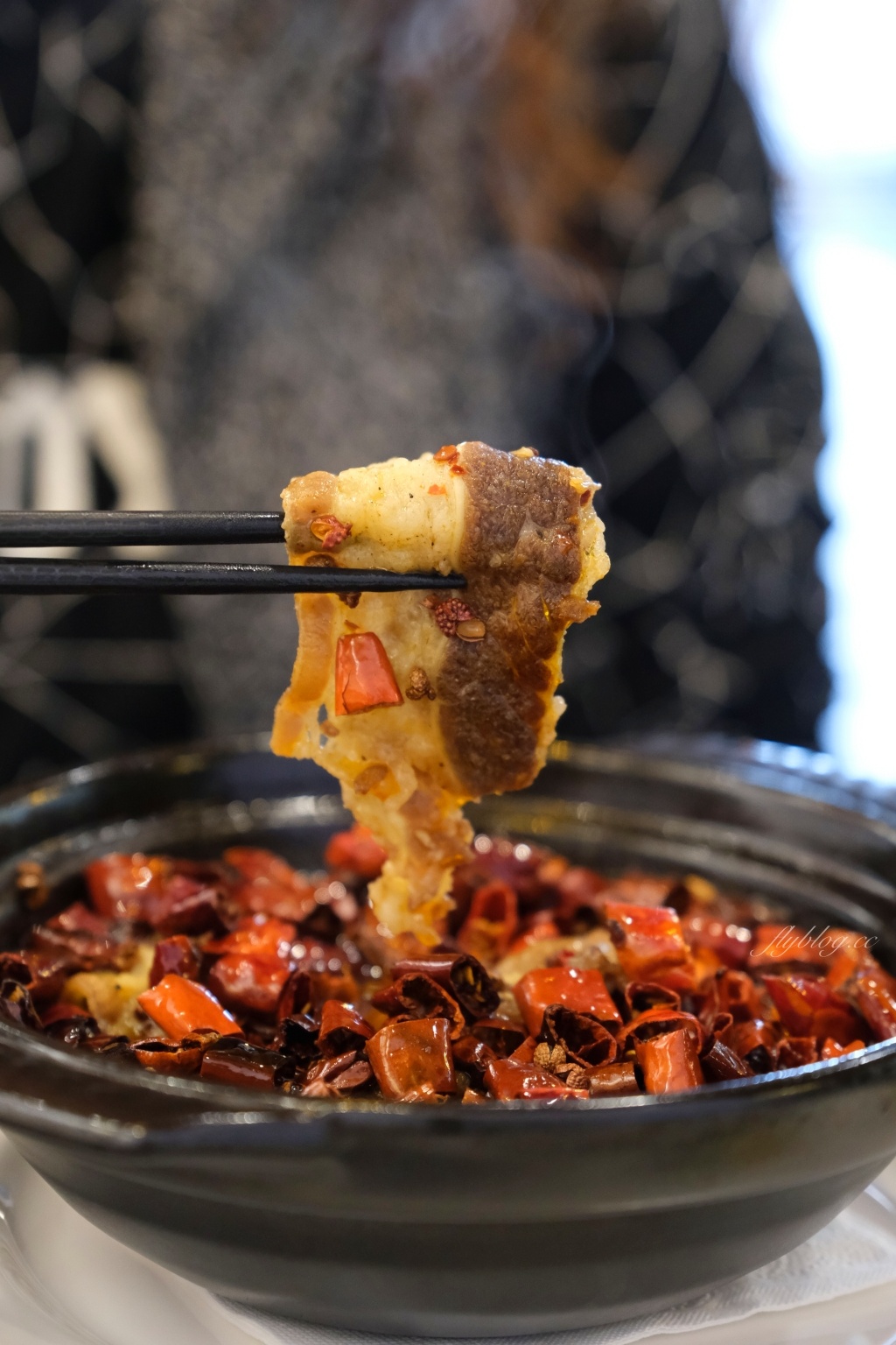 嘉義旅遊|嘉義兩天一夜:騎著自行車在市區散策,穿梭嘉義特色咖啡甜點店 @飛天璇的口袋 嘉義旅遊|嘉義兩天一夜:騎著自行車在市區散策,穿梭嘉義特色咖啡甜點店 @飛天璇的口袋