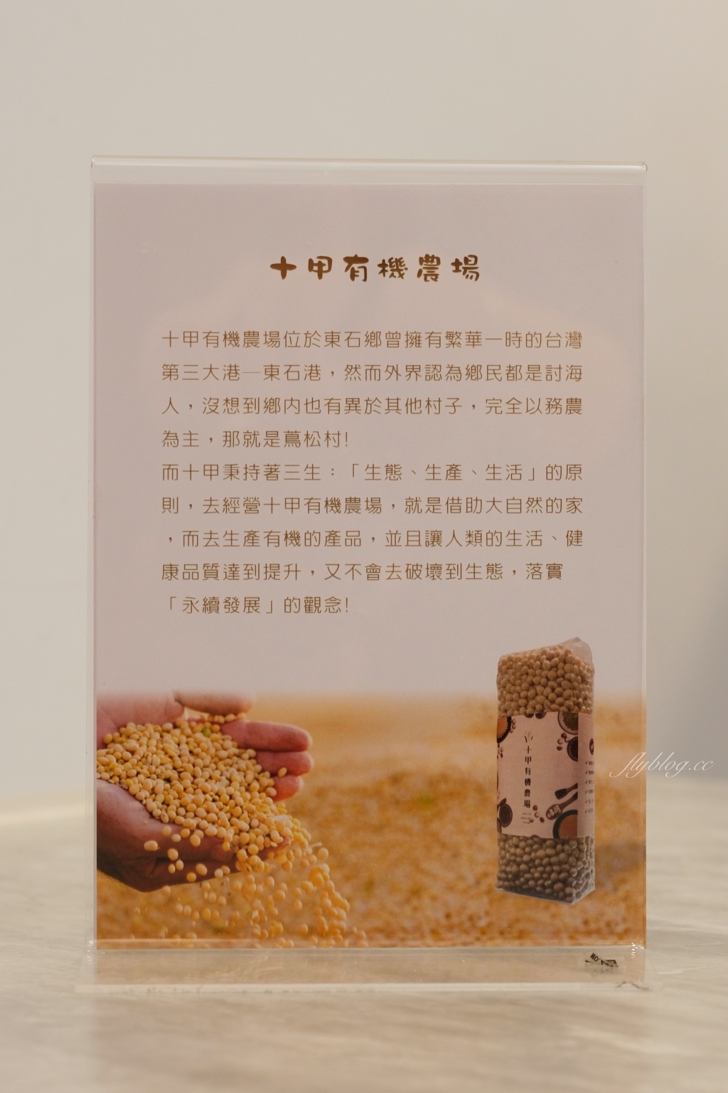 嘉義西區｜壺豆花．像甜點店一樣美的豆花店，IG網美熱門打卡景點 @飛天璇的口袋