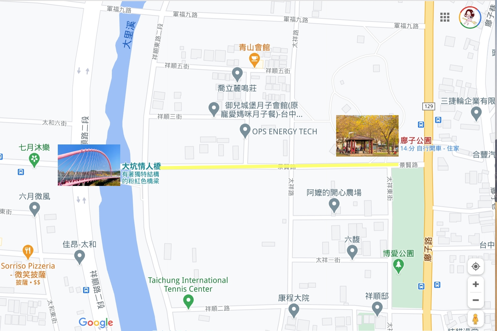 台中北屯|廍子公園,黃花風鈴木季正美,金色璀燦從粉紅情人橋到公園一整片浪漫 @飛天璇的口袋 台中北屯|廍子公園,黃花風鈴木季正美,金色璀燦從粉紅情人橋到公園一整片浪漫 @飛天璇的口袋