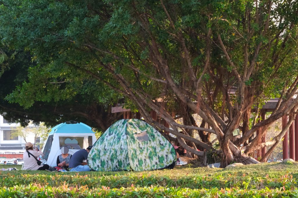台中北屯|廍子公園,黃花風鈴木季正美,金色璀燦從粉紅情人橋到公園一整片浪漫 @飛天璇的口袋 台中北屯|廍子公園,黃花風鈴木季正美,金色璀燦從粉紅情人橋到公園一整片浪漫 @飛天璇的口袋