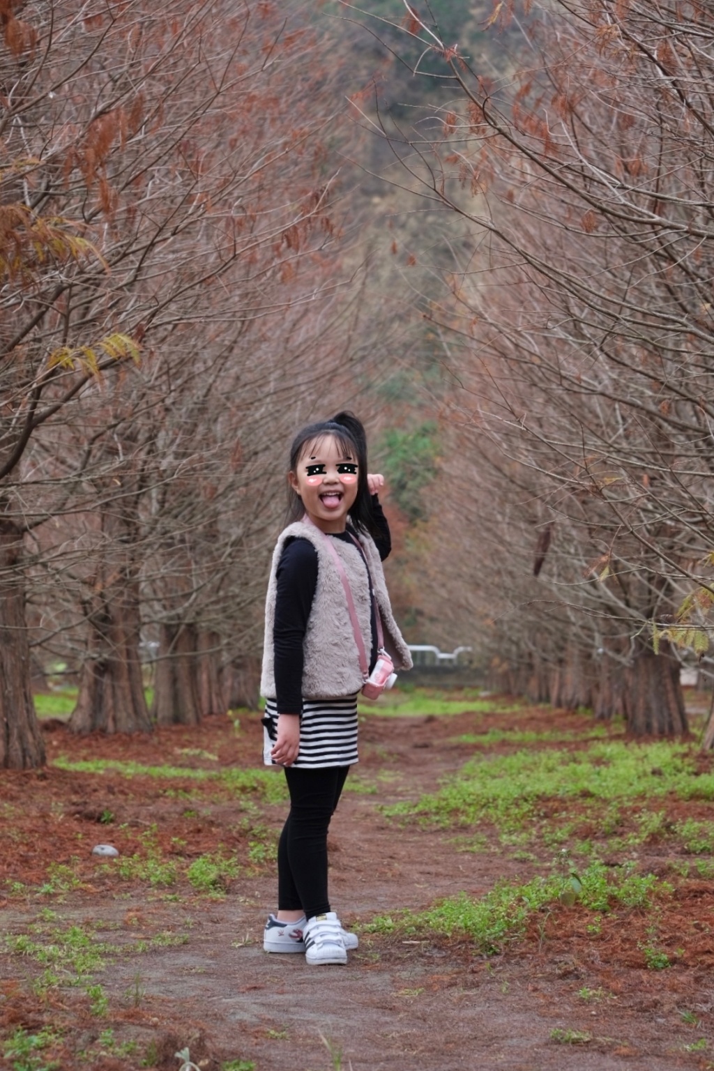 台中外埔｜土城落羽松秘境｜火炎山下200棵落羽松樹林，后里麗寶樂園附近的秘境 @飛天璇的口袋