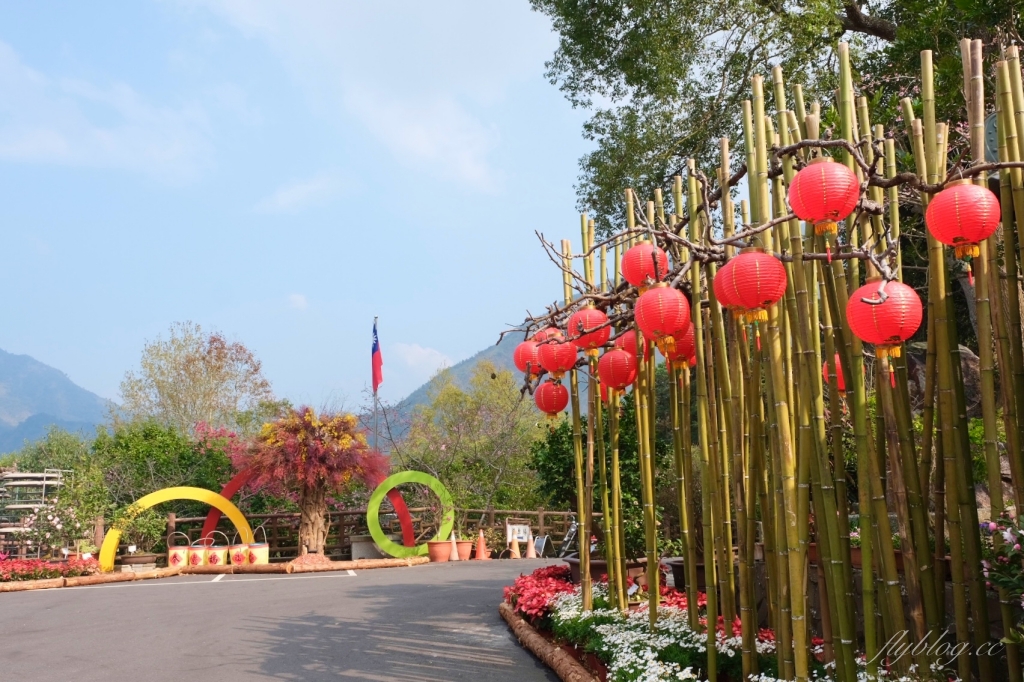 南投鹿谷｜台大茶園 鹿谷鳳凰自然教育園區．南投台大茶園櫻花季，散步浪漫河津櫻木棧步道 @飛天璇的口袋