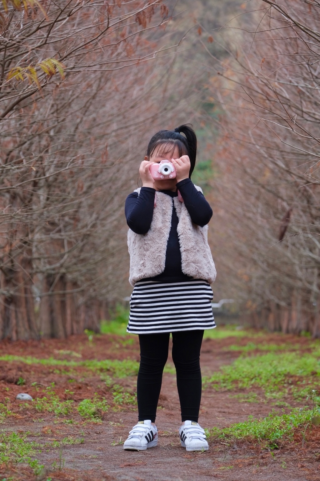 台中外埔｜土城落羽松秘境｜火炎山下200棵落羽松樹林，后里麗寶樂園附近的秘境 @飛天璇的口袋