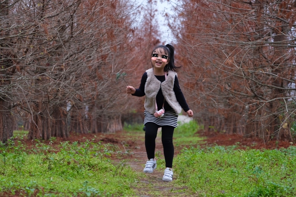 台中外埔｜土城落羽松秘境｜火炎山下200棵落羽松樹林，后里麗寶樂園附近的秘境 @飛天璇的口袋