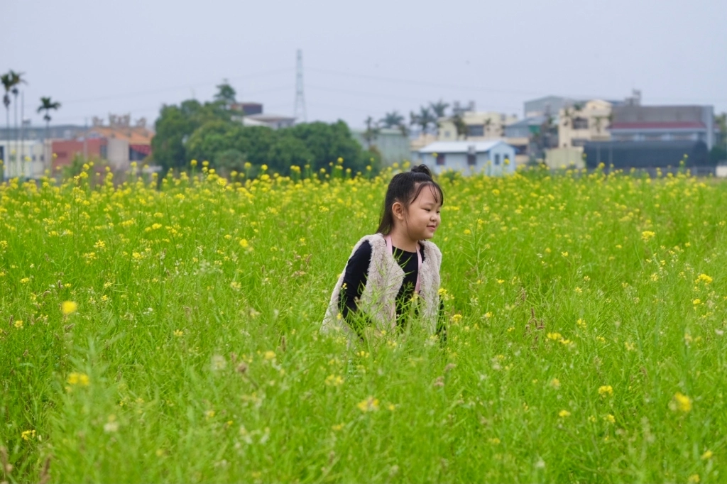 台中外埔｜土城落羽松秘境｜火炎山下200棵落羽松樹林，后里麗寶樂園附近的秘境 @飛天璇的口袋