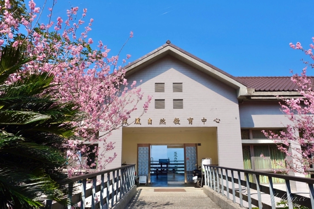 南投鹿谷｜台大茶園 鹿谷鳳凰自然教育園區．南投台大茶園櫻花季，散步浪漫河津櫻木棧步道 @飛天璇的口袋