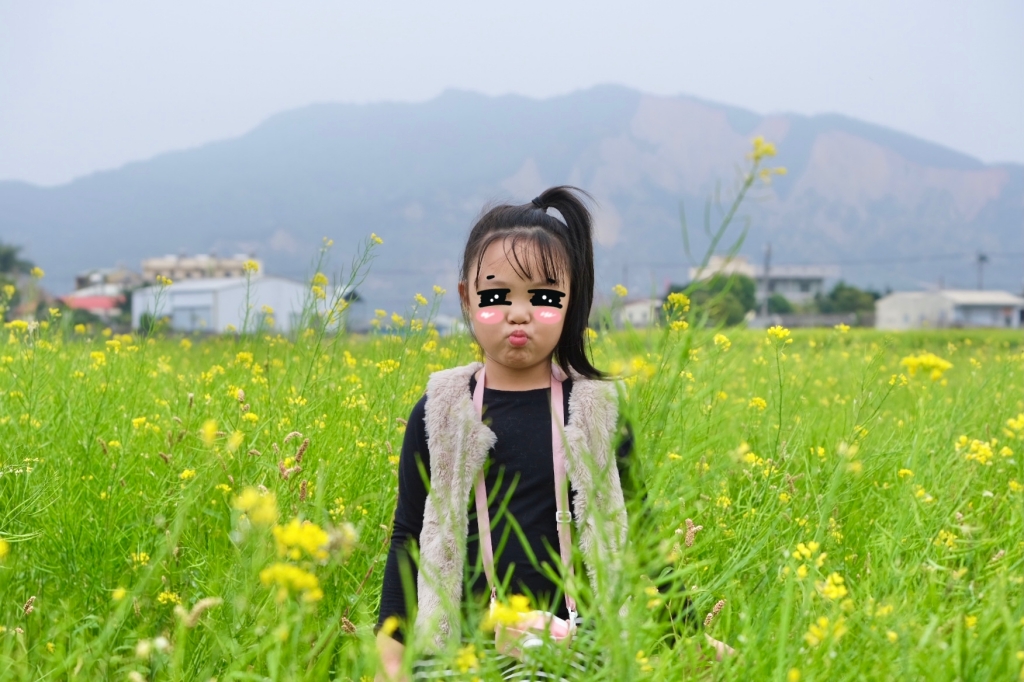 台中外埔｜土城落羽松秘境｜火炎山下200棵落羽松樹林，后里麗寶樂園附近的秘境 @飛天璇的口袋