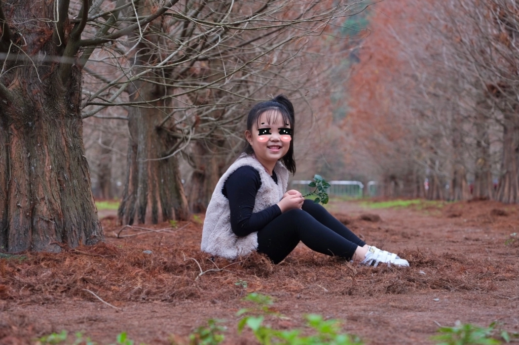 台中外埔｜土城落羽松秘境｜火炎山下200棵落羽松樹林，后里麗寶樂園附近的秘境 @飛天璇的口袋