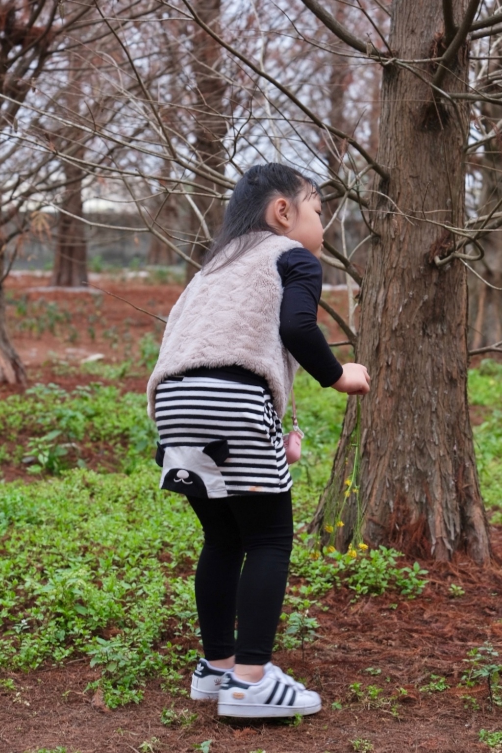 台中外埔｜土城落羽松秘境｜火炎山下200棵落羽松樹林，后里麗寶樂園附近的秘境 @飛天璇的口袋