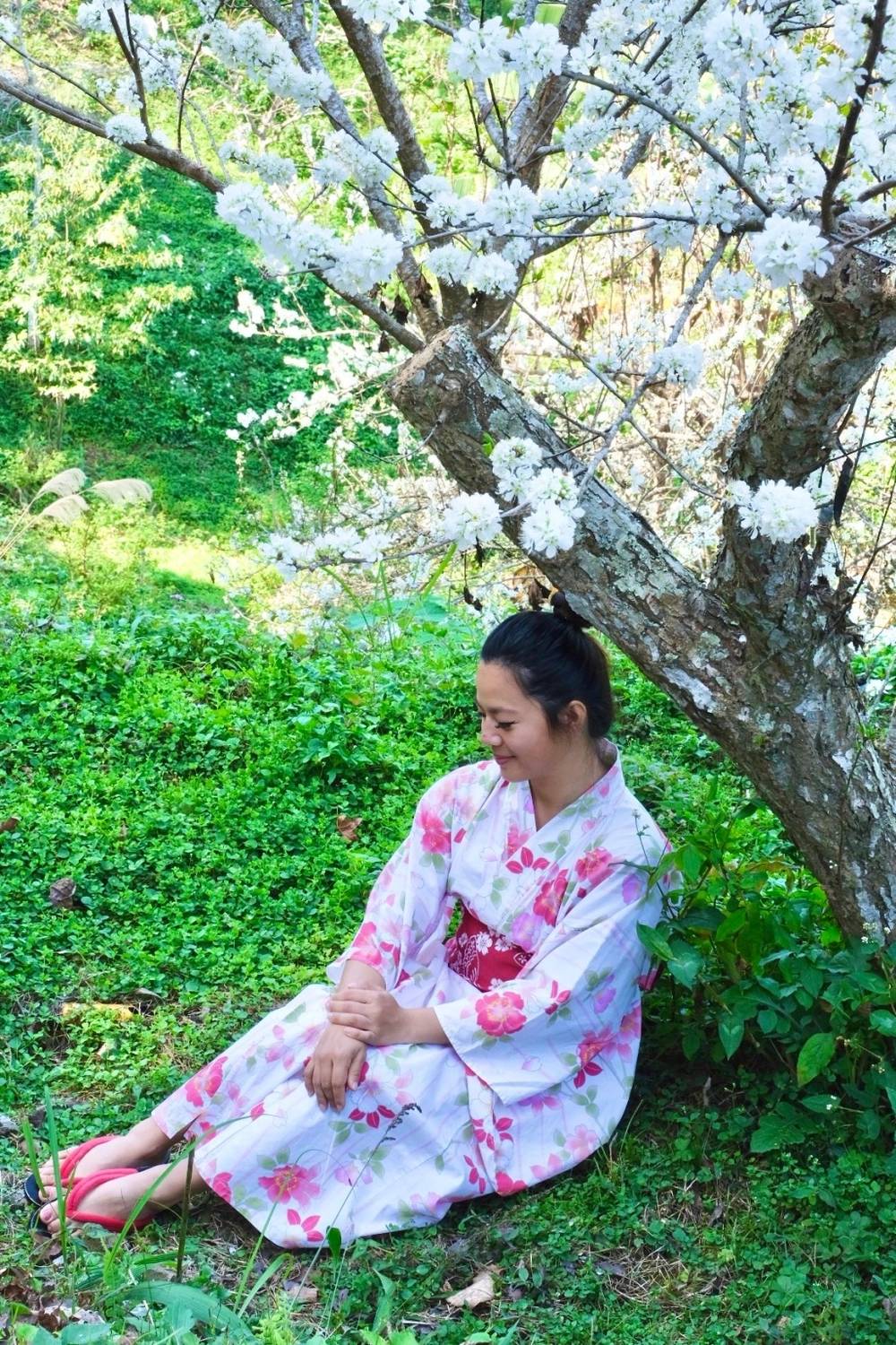 新竹五峰|悅峰山莊,坐擁整片盛開山櫻花美景,新竹五峰豪華包棟民宿 @飛天璇的口袋 新竹五峰|悅峰山莊,坐擁整片盛開山櫻花美景,新竹五峰豪華包棟民宿 @飛天璇的口袋