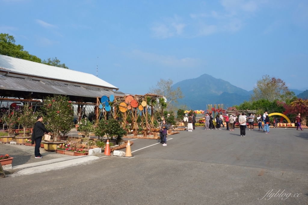 南投鹿谷｜台大茶園 鹿谷鳳凰自然教育園區．南投台大茶園櫻花季，散步浪漫河津櫻木棧步道 @飛天璇的口袋