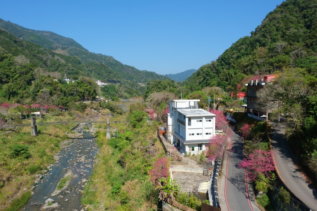 新竹五峰|悅峰山莊,坐擁整片盛開山櫻花美景,新竹五峰豪華包棟民宿 @飛天璇的口袋 新竹五峰|悅峰山莊,坐擁整片盛開山櫻花美景,新竹五峰豪華包棟民宿 @飛天璇的口袋