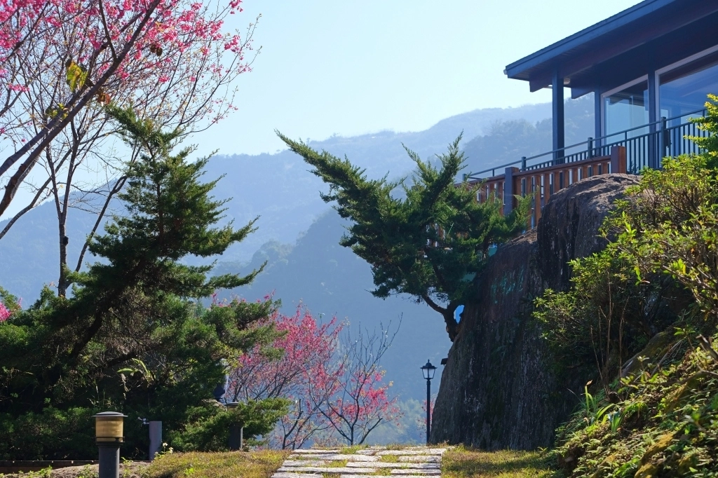 新竹五峰|悅峰山莊,坐擁整片盛開山櫻花美景,新竹五峰豪華包棟民宿 @飛天璇的口袋 新竹五峰|悅峰山莊,坐擁整片盛開山櫻花美景,新竹五峰豪華包棟民宿 @飛天璇的口袋