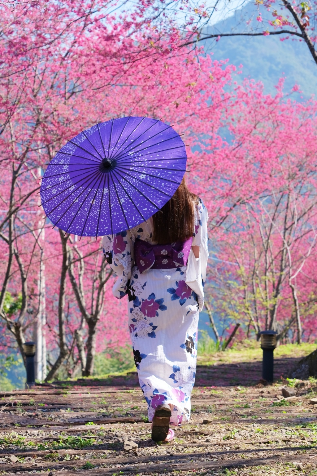 新竹五峰|悅峰山莊,坐擁整片盛開山櫻花美景,新竹五峰豪華包棟民宿 @飛天璇的口袋 新竹五峰|悅峰山莊,坐擁整片盛開山櫻花美景,新竹五峰豪華包棟民宿 @飛天璇的口袋