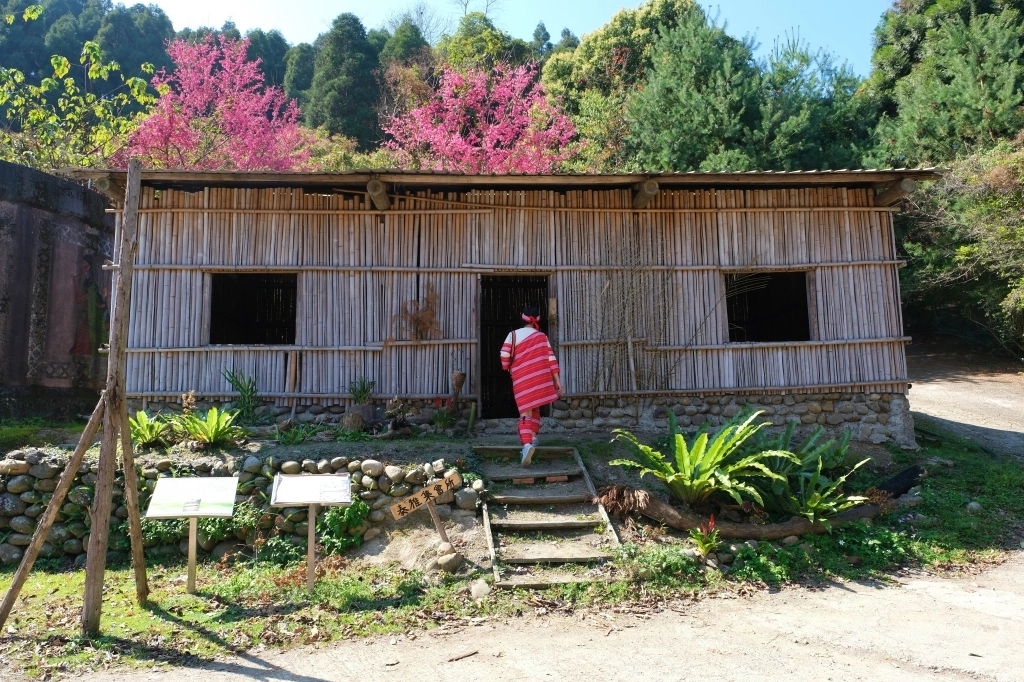 新竹五峰｜悅峰山莊，坐擁整片盛開山櫻花美景，新竹五峰豪華包棟民宿 @飛天璇的口袋